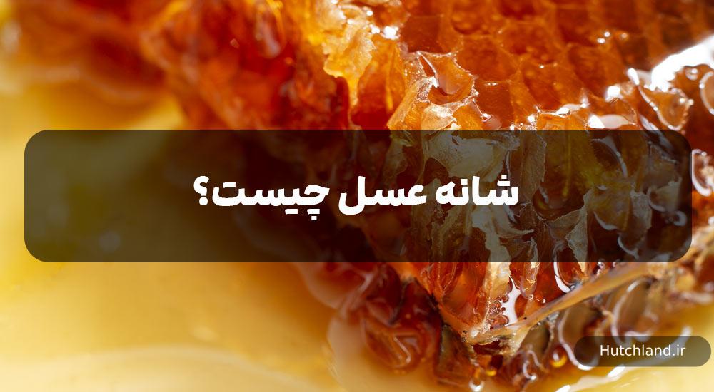 شانه عسل چیست؟
