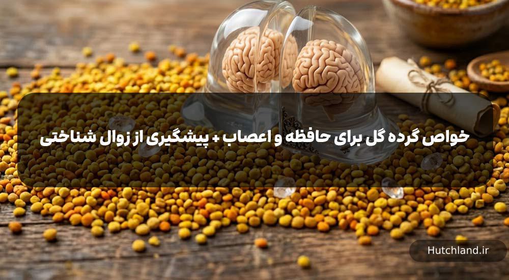 بررسی خواص گرده گل برای حافظه