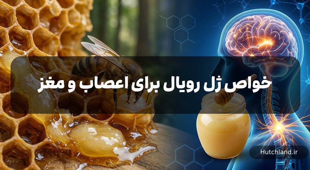 خواص ژل رویال برای اعصاب