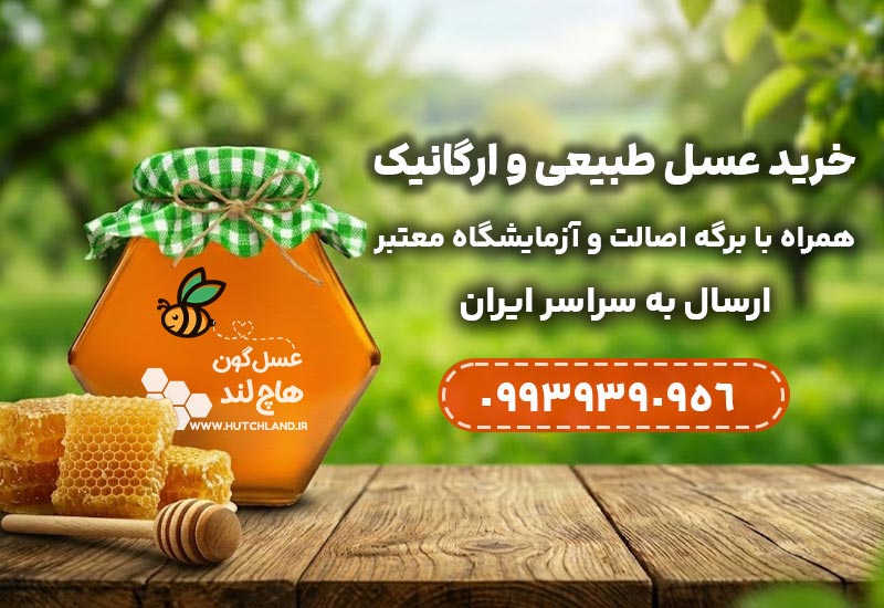قیمت عسل طبیعی هاچ لند