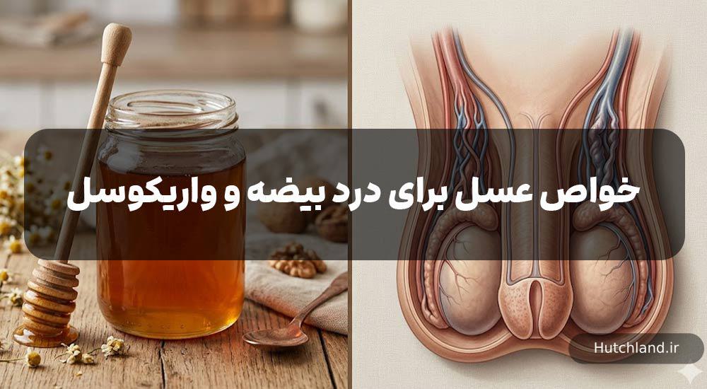 عسل برای درد بیضه