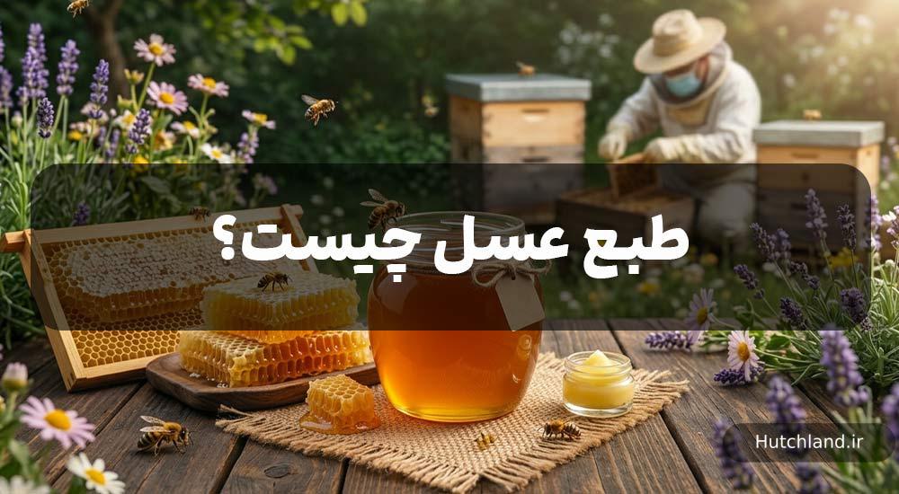 طبع عسل