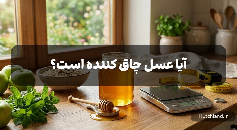 آیا عسل چاق کننده است؟