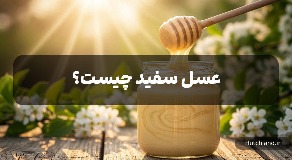 عسل سفید