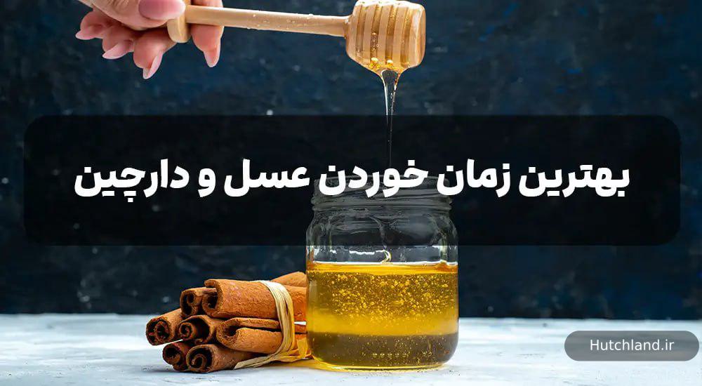 بهترین زمان خوردن عسل و دارچین