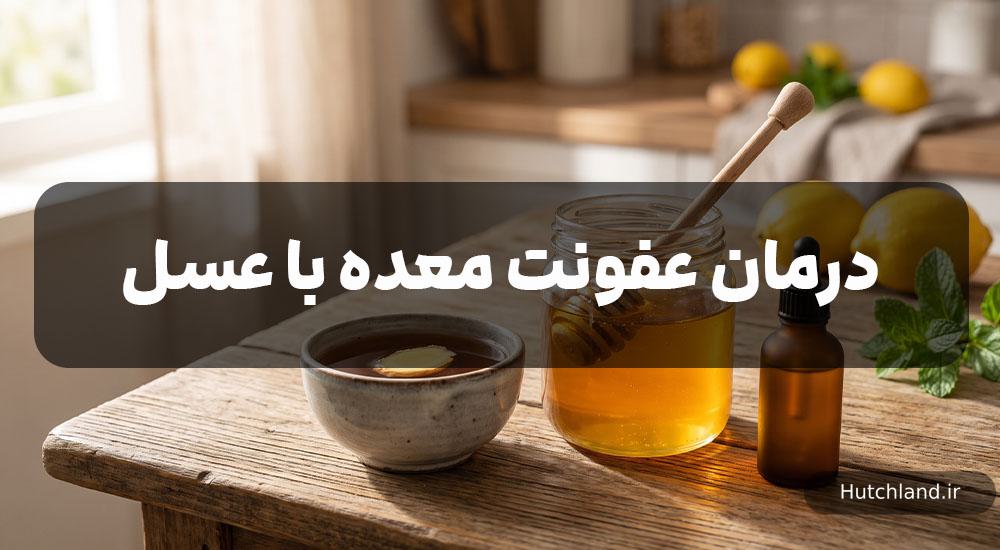 درمان عفونت معده با عسل